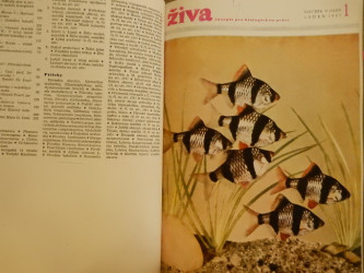 Živa - 1957 (čísla 1–6)
