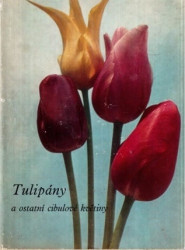 Tulipány a ostatní cibulové květiny*