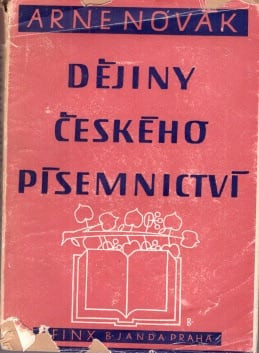 Dějiny českého písemnictví (bez obalu)