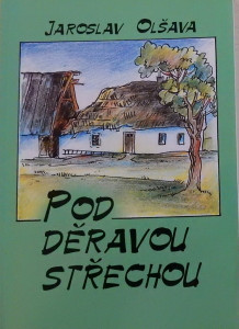 Pod děravou střechou