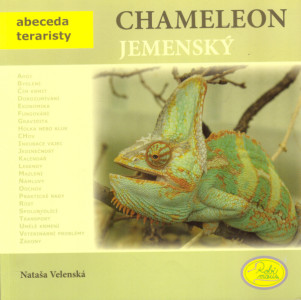 Chameleon jemenský