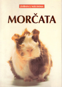 Morčata