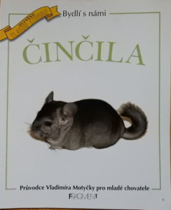 Činčila